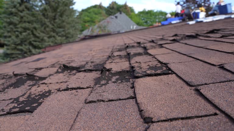Best 4 Ply Roofing  in Brockton, MA