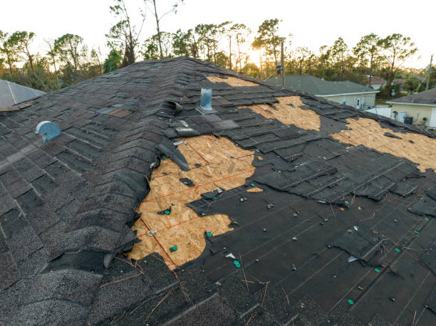 Best Roof Repair  in Brockton, MA