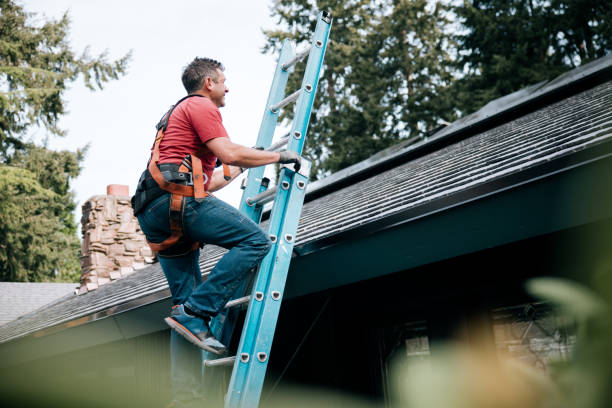 Best Roof Insulation Installation  in Brockton, MA
